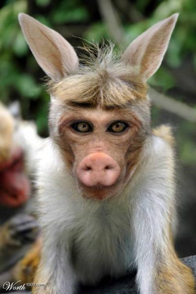 a lala croi ki me fai peur!!!mai alor po du tou!!!!!!mdr!!!!pove cruche!!lol